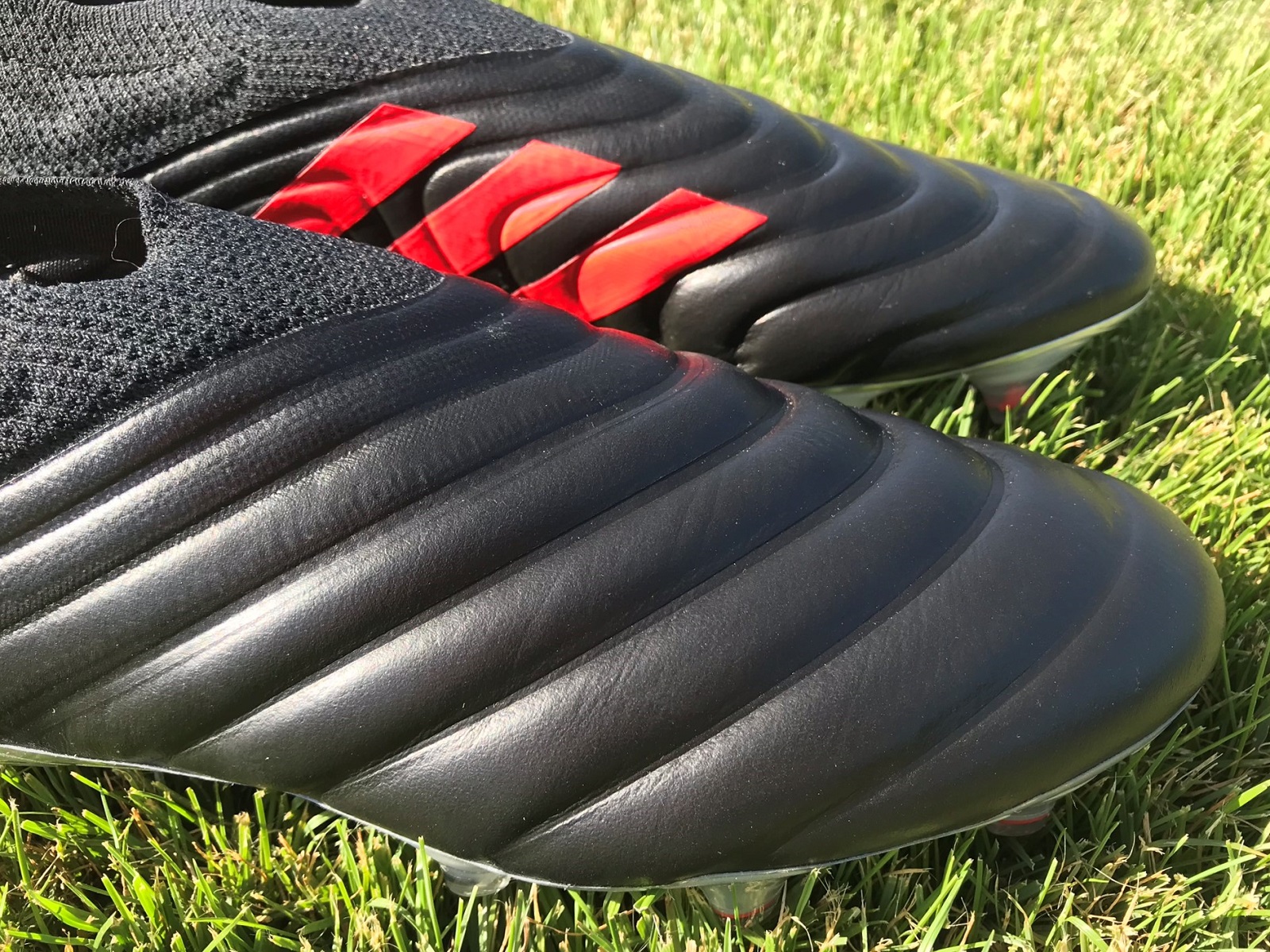 laceless copa 19